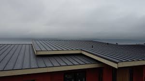 Sheet Metal Roofing in Fredonia, WI